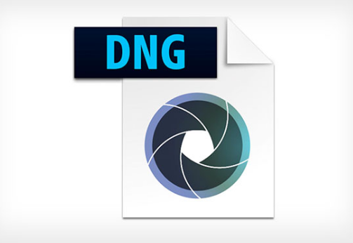 Adobe DNG Converter 11.3