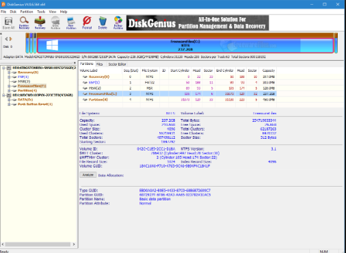 DiskGenius Professional 5.1.0.653 Download Free