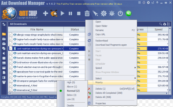 Ant Download Manager Pro