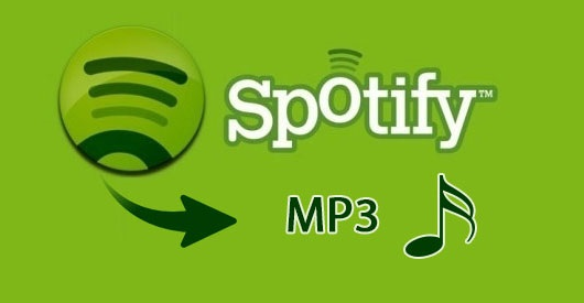 Spotify Music Downloader