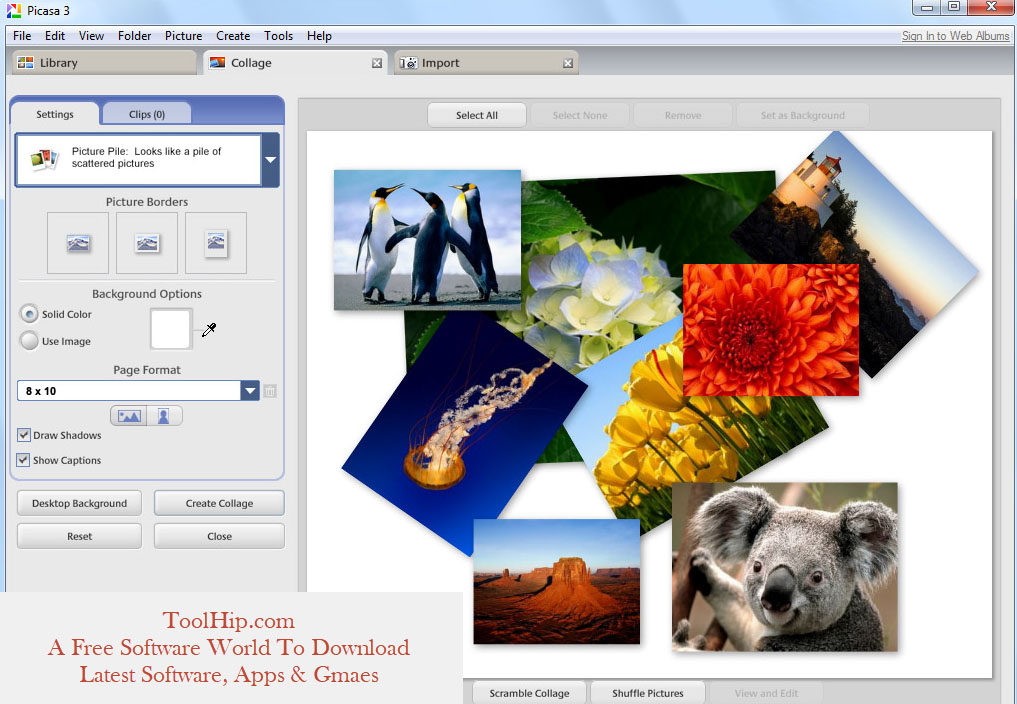 Picasa Download for PC